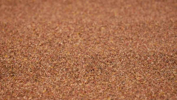 NOC00091 - Braune Kiesmatte – 100 x 60 cm - 1