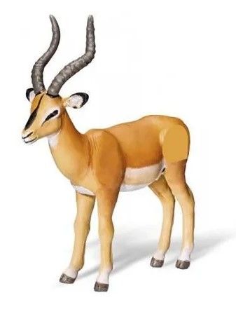 RAV0367 - TIPTOI-Antilope - 1