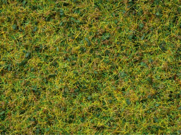NOC07077 - Topf mit grüner Beflockungsmischung 100 g 2;5 bis 6 mm - 1