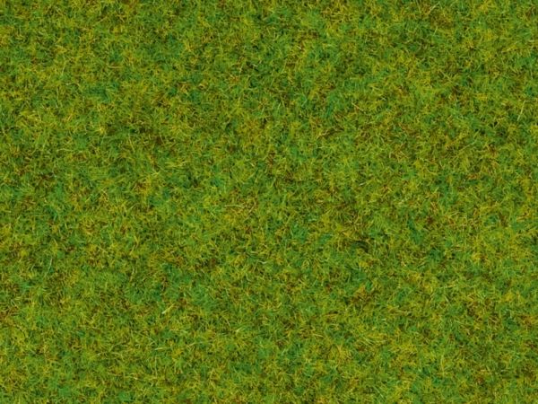 NOC08200 - Frühlingswiesengräser - 1;5 mm - 20 g - 1