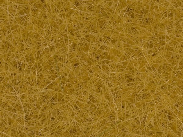 NOC08362 - Beige Kräuter - 4 mm - 20 g - 1