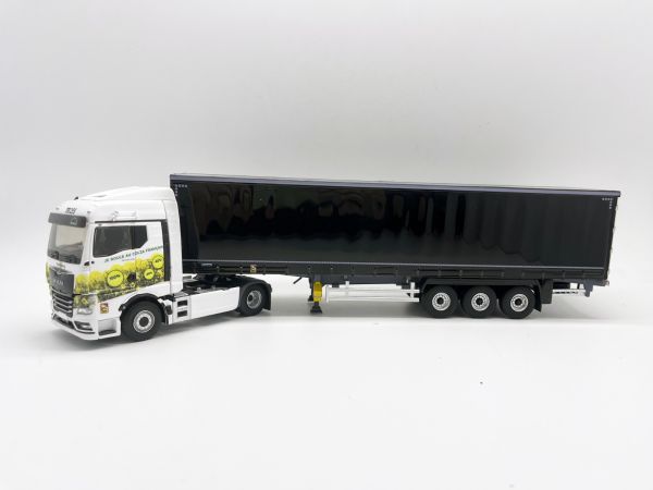ELI117962 - MAN TGX GM 4x2 mit 3-Achs-Anhänger - Transport TRANSALOG - 1