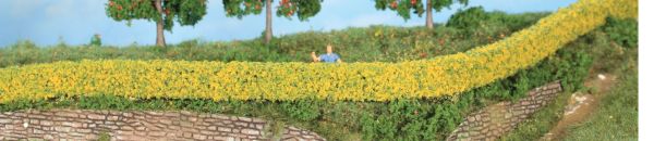 HEK11810 - 2 Forsythienhecken – 7 x 14 mm – 50 cm lang. - 1