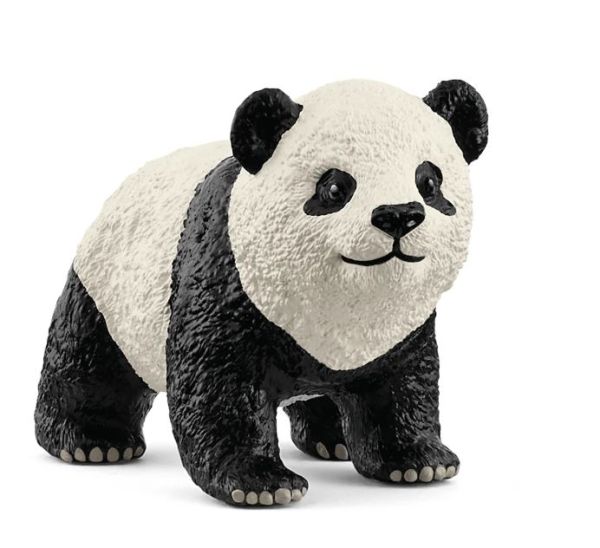 SHL14886 - Junger Großer Panda - 1