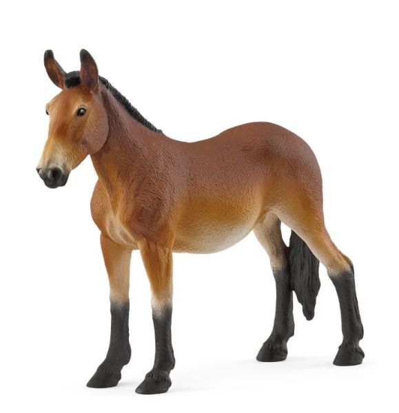 SHL14889 - Maultier - 1