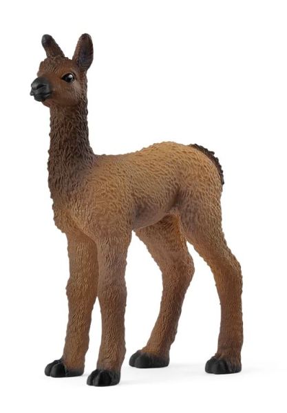 SHL14890 - Lamababy - 1