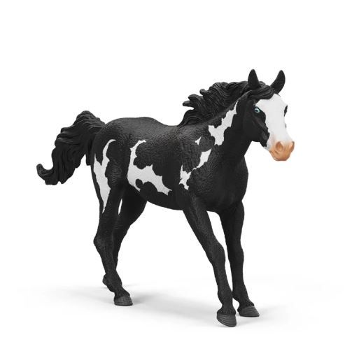 SHL14900 - Paint Horse Wallach - 1