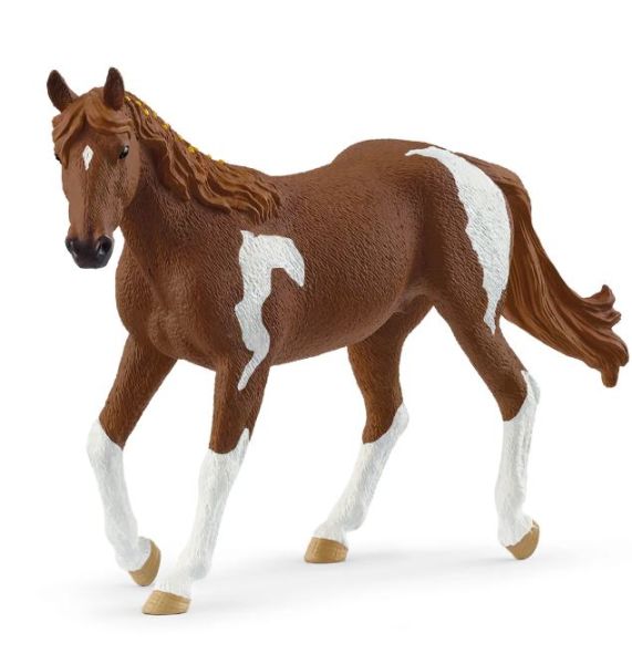 SHL14901 - Paint Horse Stute - 1