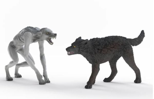 SHL14906 - Werwolf vs. Animagus - 1