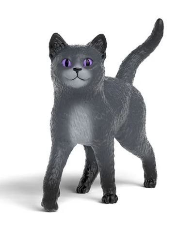 SHL14912 - Karajan die Katze – Schule der magischen Tiere - 1