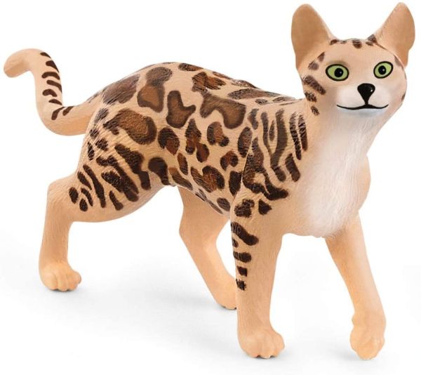 SHL13918 - Bengalkatze - 1