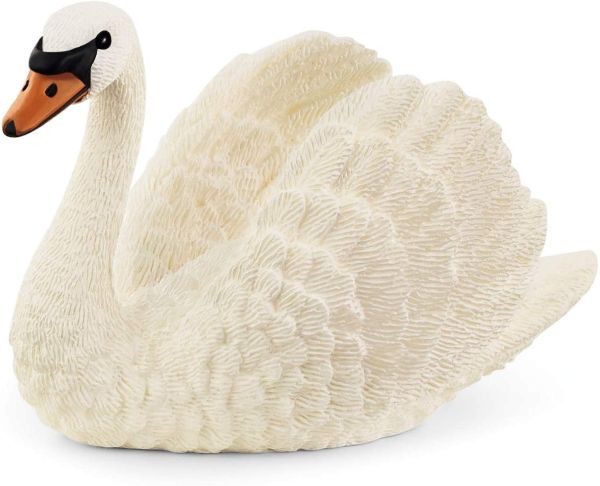 SHL13921 - Schwan - 1