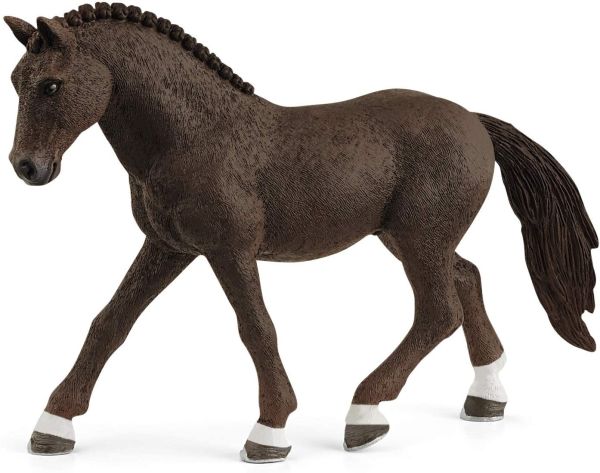 SHL13926 - Deutscher Reitpony Wallach - 1