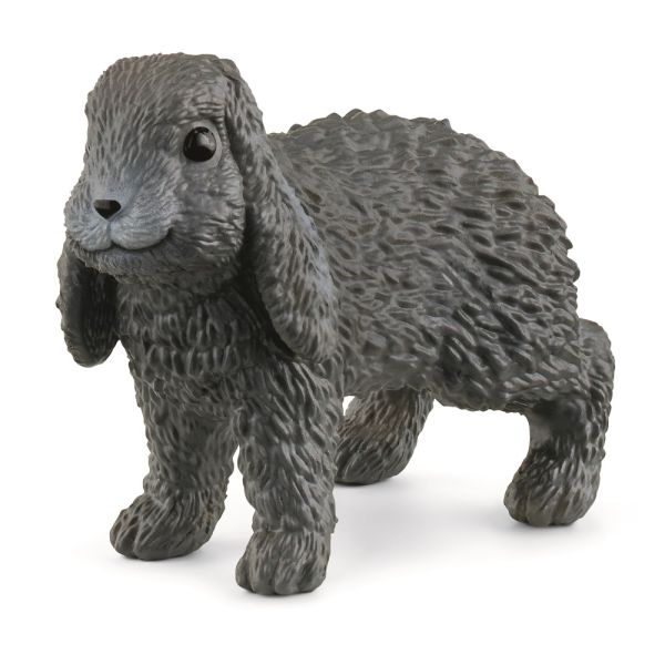 SHL13935 - lop kaninchen - 1