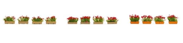 NOC14010 - Blumenkästen; rot - 1
