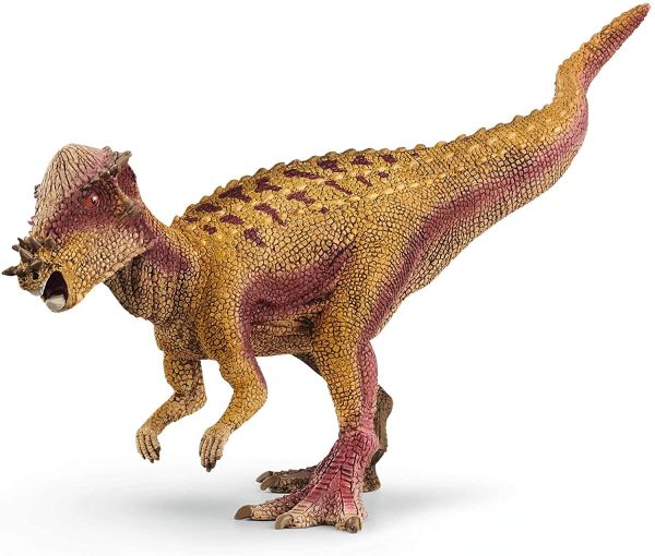 SHL15024 - Pachycephalosaurus - 1
