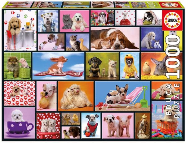 EDU15518 - Geteilte Momente 1000 Teile Puzzle - 1