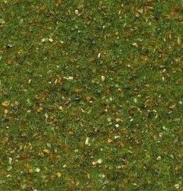 HEK30931 - Waldbodenmatte – 75 x 100 cm - 1