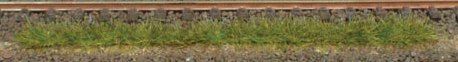 HEK1811 - 10 Streifen Sommergras 10cm - 1