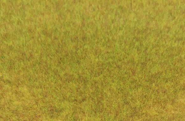 HEK3371 - Beutel 75 g wildes Herbstgras 5-6 mm - 1