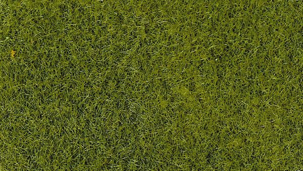 HEK3364 - 50 g Beutel mit 2-3 mm hellgrüner Beflockung - 1