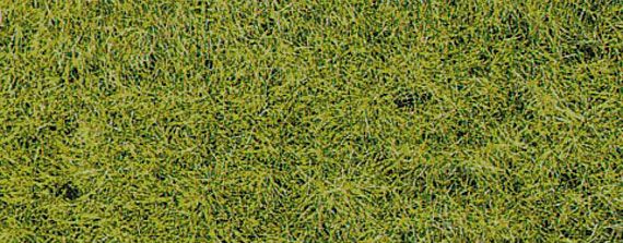 HEK3376 - Tüte 50 g XL Frühlingsgras 10mm - 1