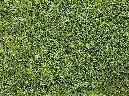 HEK3377 - Beutel 50 g Sommergras XL 10 mm - 1