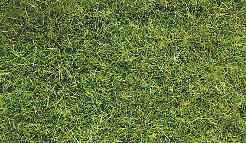 HEK3369 - Beutel 75 g dunkelgrünes Wildgras 5-6 mm - 1