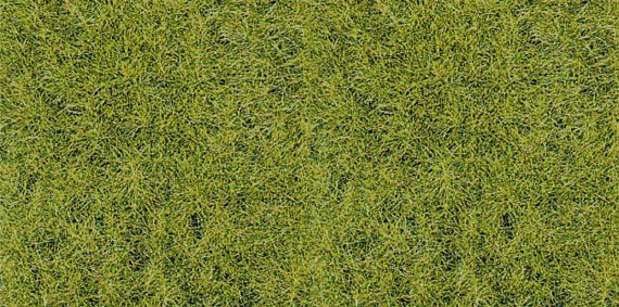 HEK3368 - Beutel 75 g grünes Wildgras von Waldboden 5-6 mm - 1