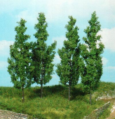 HEK1719 - 4 Pappeln 14 cm - 1