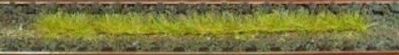 HEK1812 - Packung mit 10 Herbstgrasstreifen 10 cm - 1