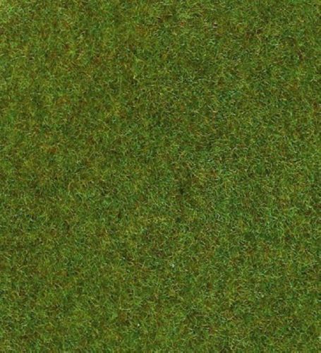 HEK30911 - Dunkelgrüner Rasenteppich – 75 x 100 cm - 1
