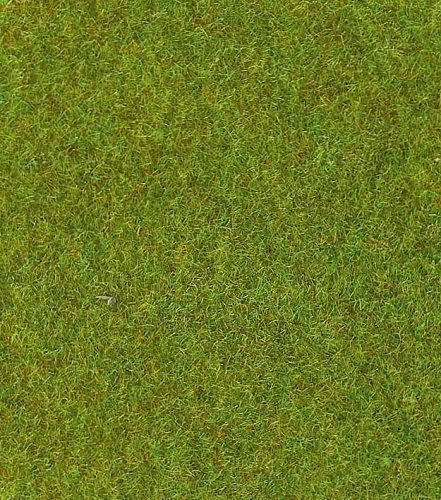 HEK30901 - Hellgrüner Rasenteppich – 75 x 100 cm - 1