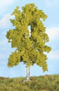 HEK19105 - Birke 18 cm - 1