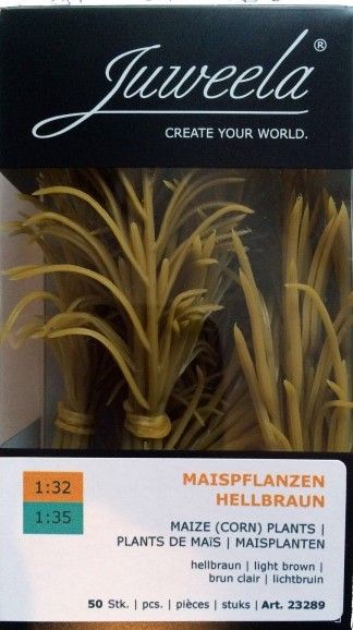JUW23289 - 50 Fuß gelber Miniaturkornmais; Höhe 10 cm - 1