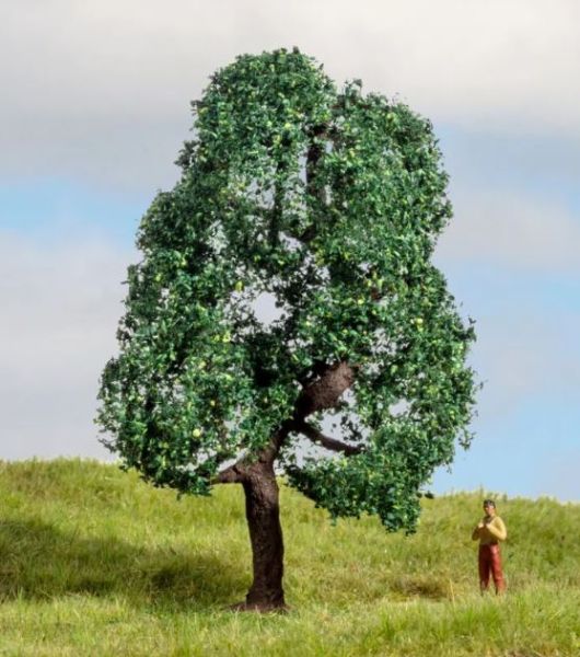 NOC20111 - Eiche, 10 cm - 1