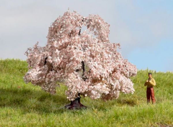 NOC20147 - Kirschblüte 6 cm - 1