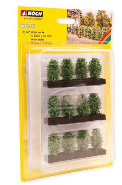 NOC21547 - 3 cm Thujahecke - 1