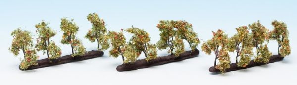 NOC21537 - 24 Bäume mit Äpfeln pflanzen - 1