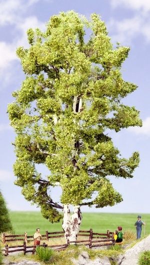 NOC21641 - Doppelstamm Birke 19cm - 1