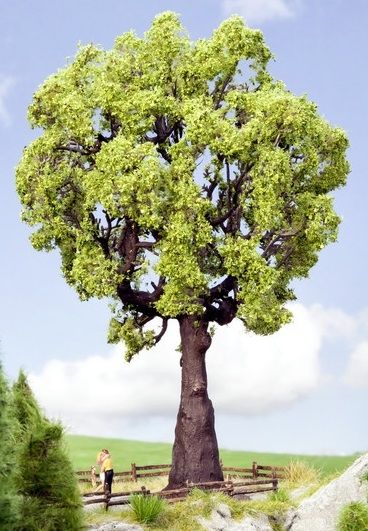 NOC21761 - Eiche 19cm - 1