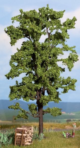 NOC21780 - Linde 18;5 cm - 1