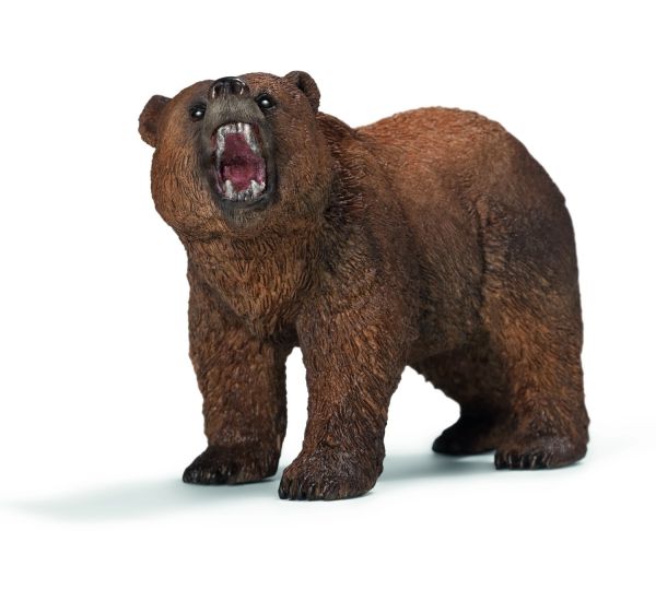 SHL14685 - Grizzlybär - 1