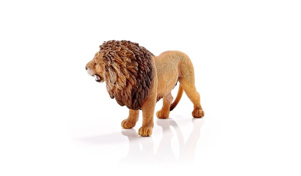 SHL14726 - brüllender Löwe - 1