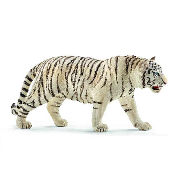 SHL14731 - männlicher weißer Tiger - 1