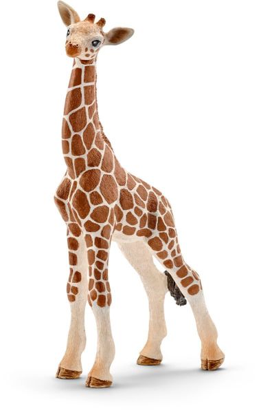SHL14751 - Baby-Giraffe - 1