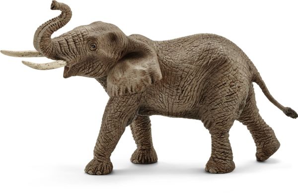 SHL14762 - Männlicher afrikanischer Elefant - 1