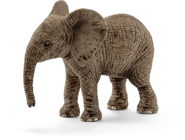 SHL14763 - Afrikanischer Elefantenbaby - 1