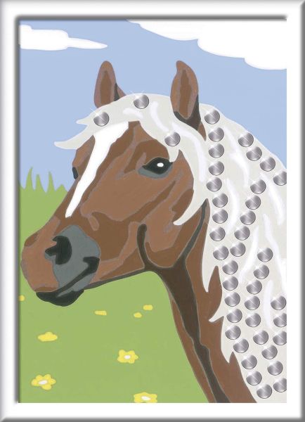 RAV27683 - Artnummer – Pferd und Pailletten – 13 x 18 cm - 1