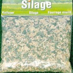 KID610760 - 100-g-Sack Silagegras - 1